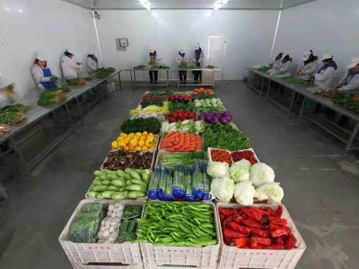 东莞送菜公司与食堂承包 一站式餐饮供应链解决方案